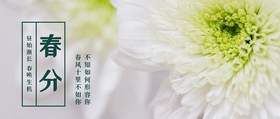 春分|春風(fēng)十里不如你